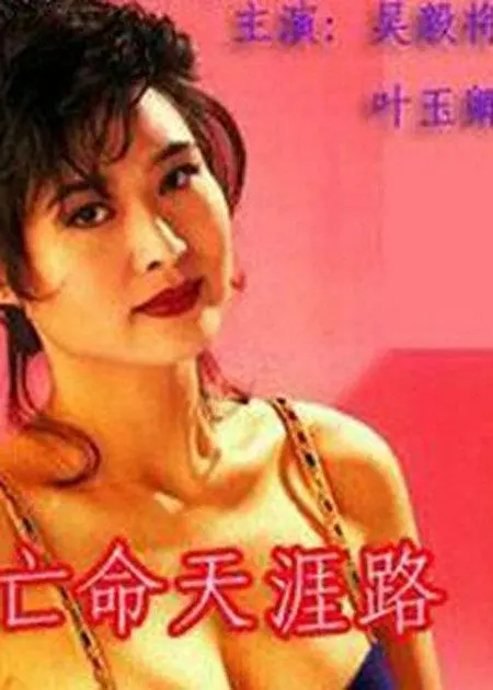 亡命天涯路国语全集