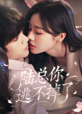 陆总你逃不掉了＆爱意难逃全集