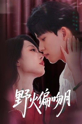 野火偏吻月全集
