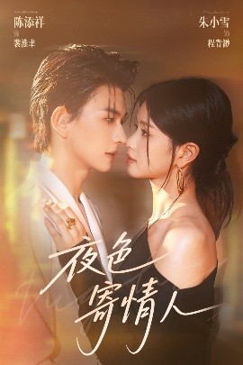 夜色寄情人全集