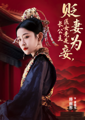 贬妻为妾医女竟是长公主全集