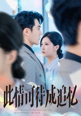 此情可待成追忆全集