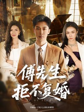 傅先生拒不复婚全集