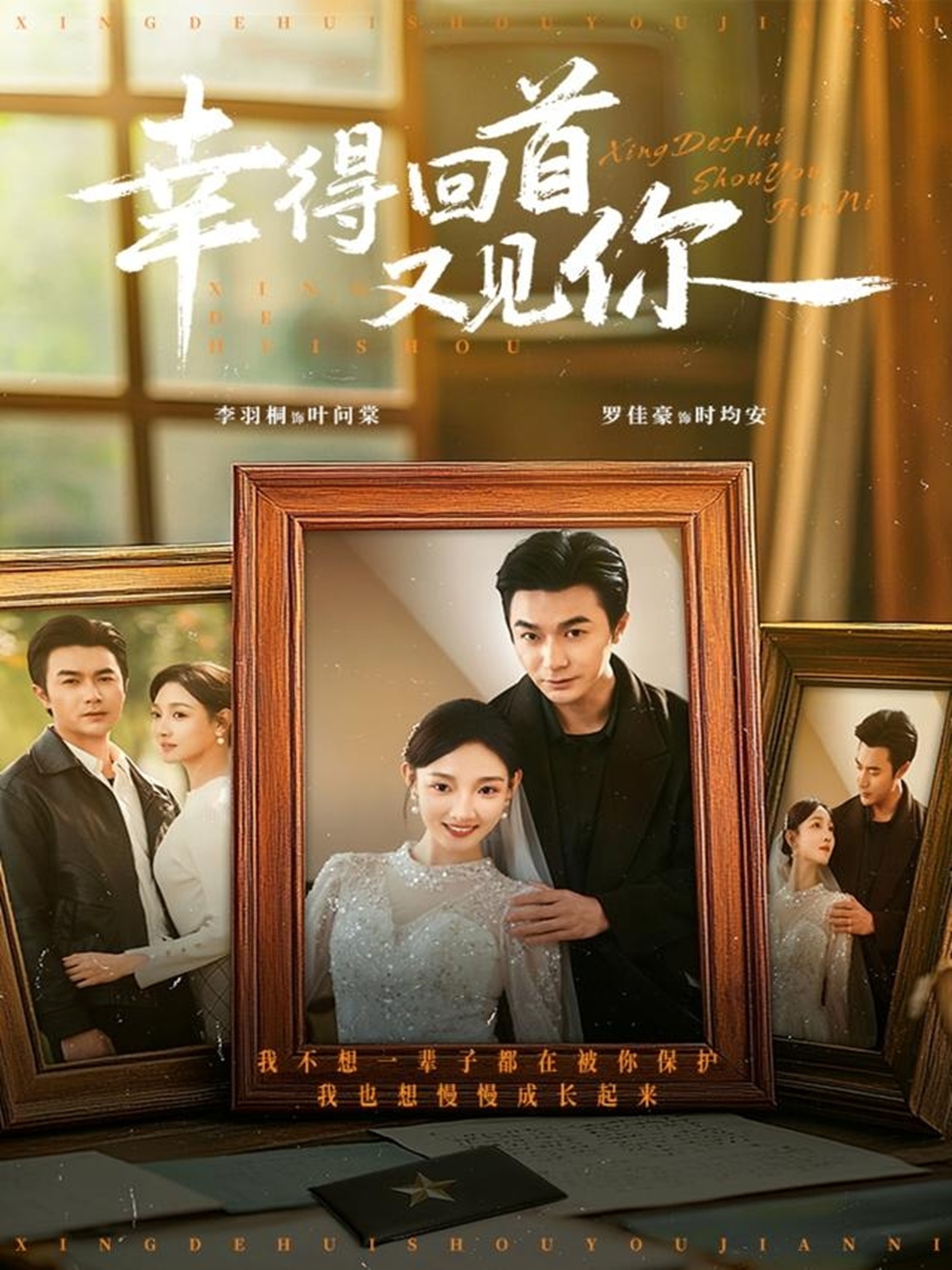 幸得回首又见你全集