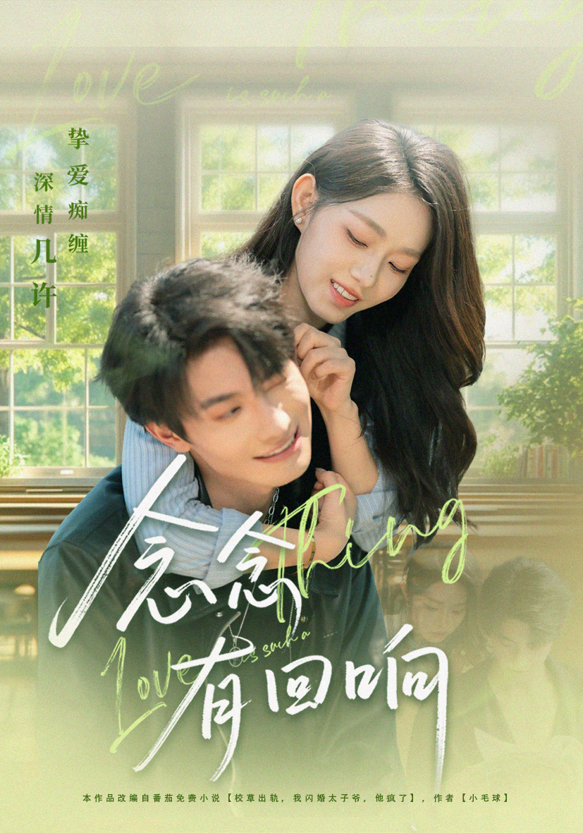 念念有回响全集