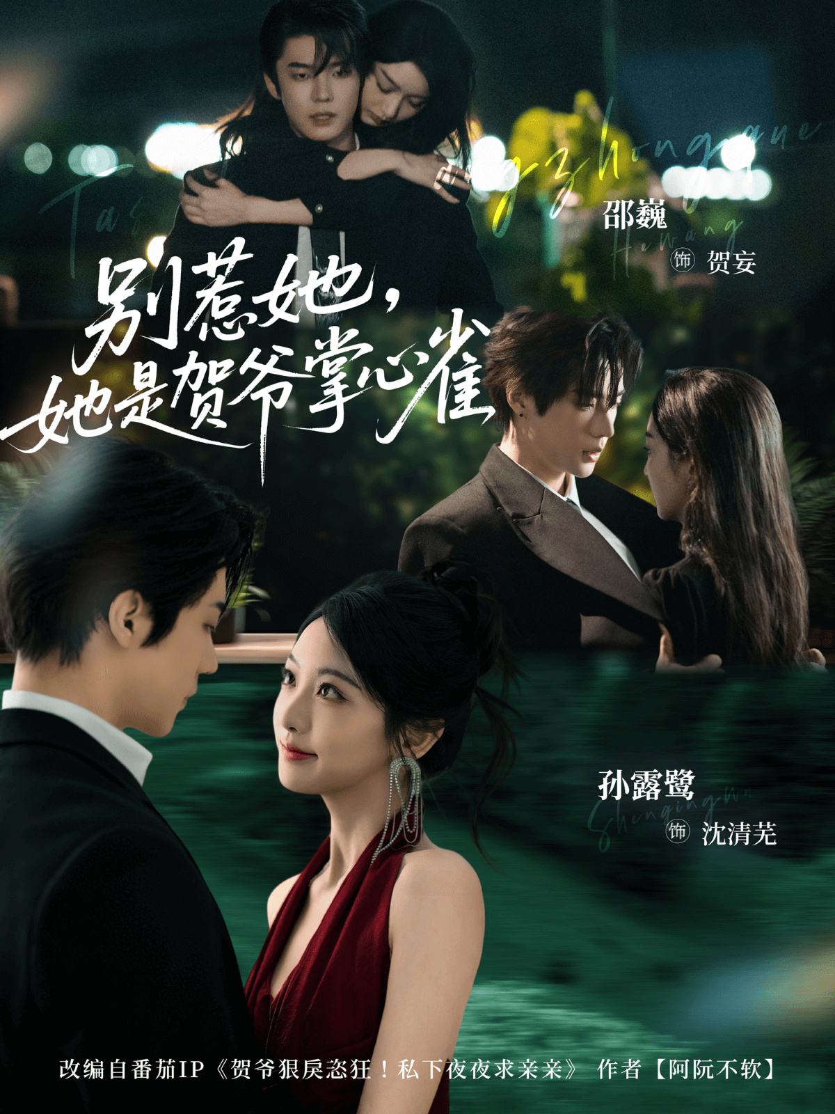 别惹她，她是贺爷掌心雀全集