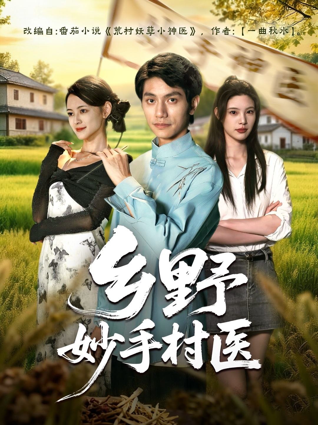 乡野妙手村医全集