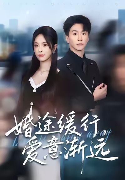 婚途缓行，爱意渐远全集