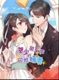 贺少的闪婚暖妻 动态漫第五季(全集)