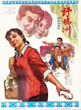 野鸭洲