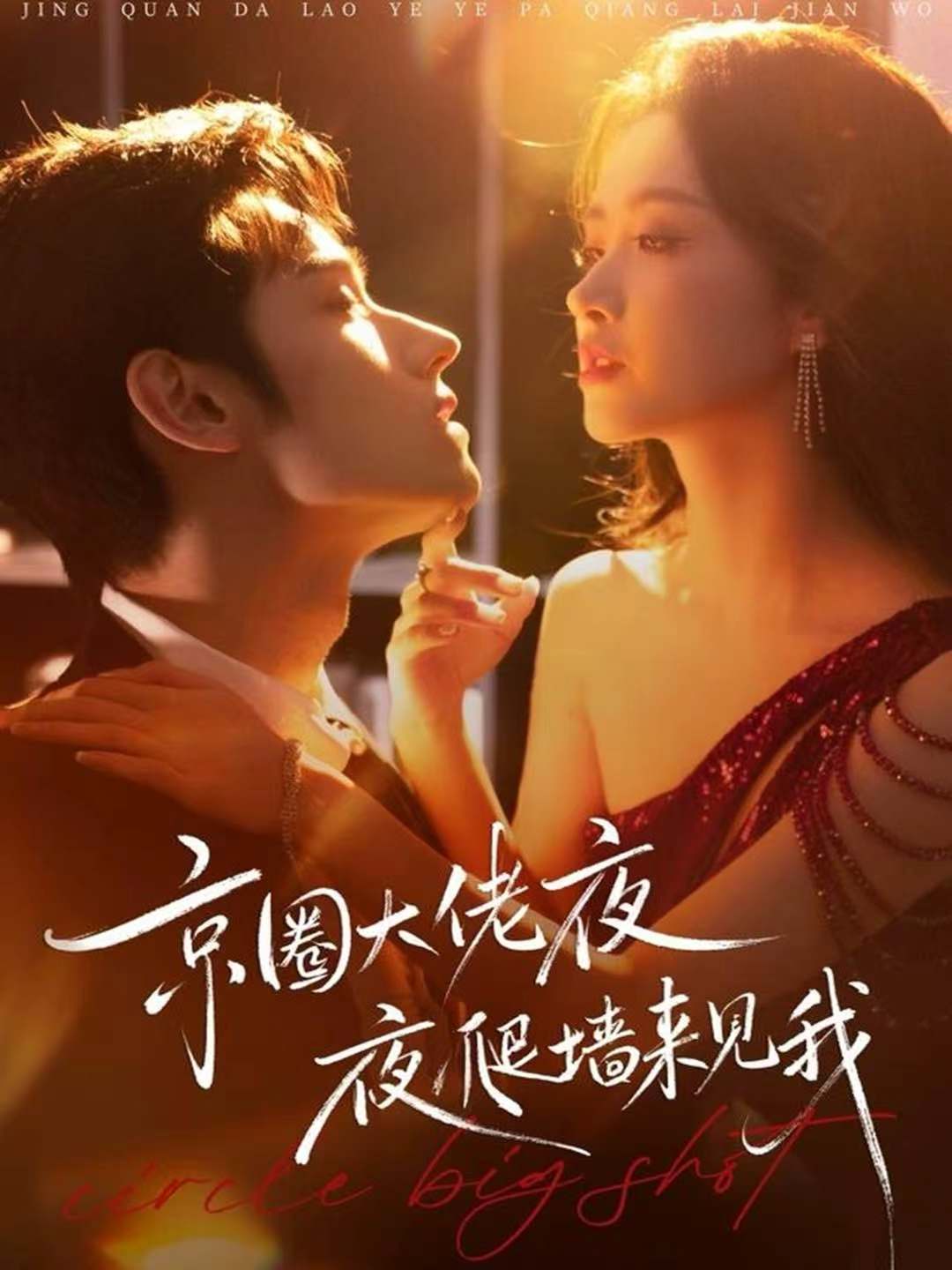 京圈大佬夜夜爬墙来见我全集
