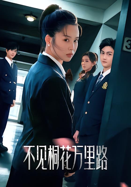 不见桐花万里路全集