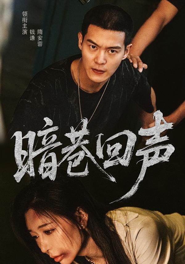 暗巷回声全集