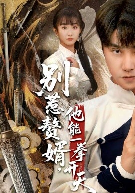 别惹赘婿，他能一拳开天全集