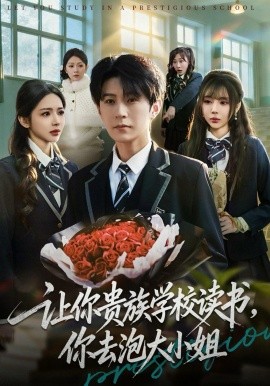 让你贵族学校读书，你去泡大小姐全集