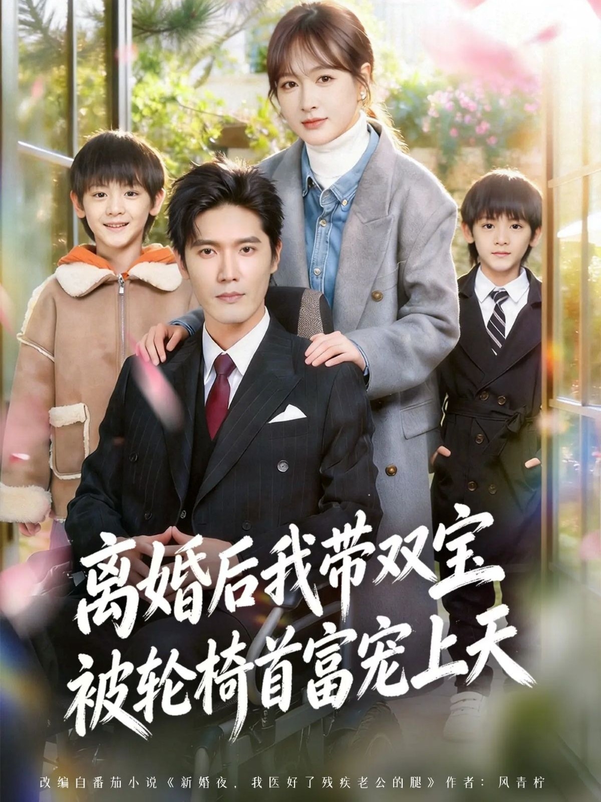 离婚后，我被轮椅首富宠上天全集