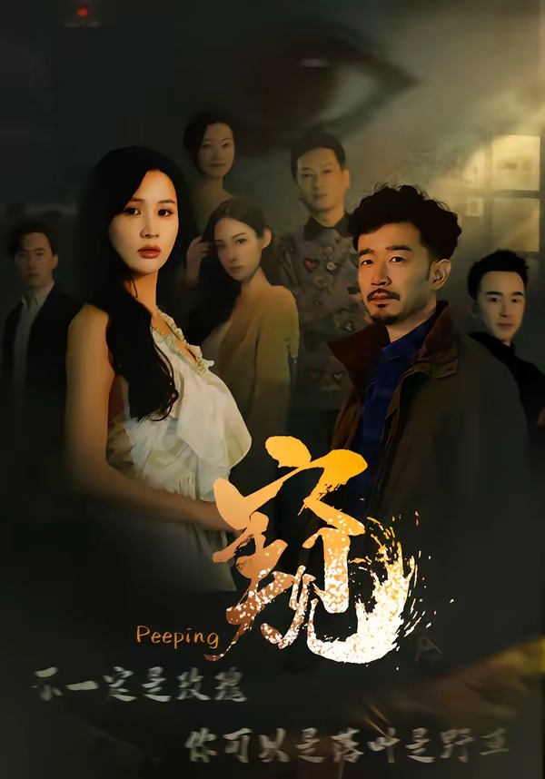 窥2026全集
