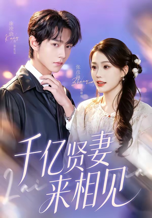 千亿贤妻来相见全集