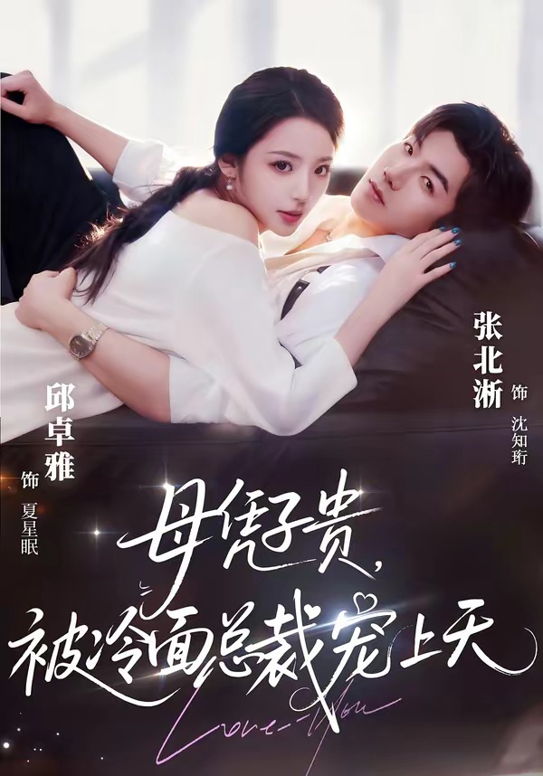 母凭子贵，被冷面总裁宠上天全集