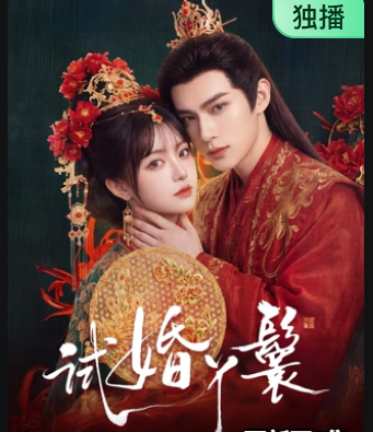 试婚丫鬟全集
