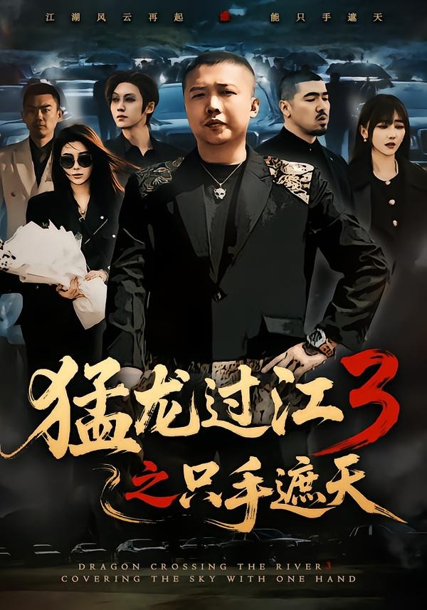 猛龙过江3之只手遮天全集
