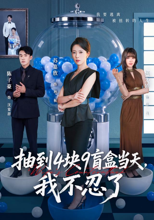 抽到4块9盲盒当天，我不忍了全集