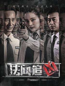 法网追凶全集
