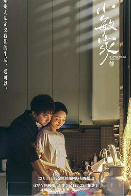 小敏家DVD版全集