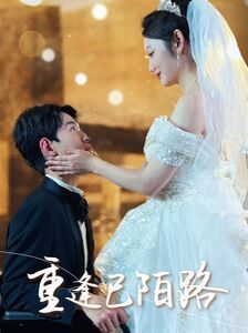 重逢已陌路 林千金她装不下去了 她如月光碎向星夜全集