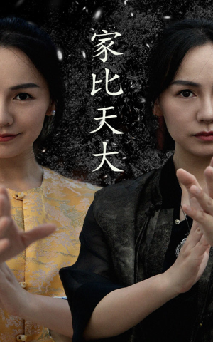 家比天大全集