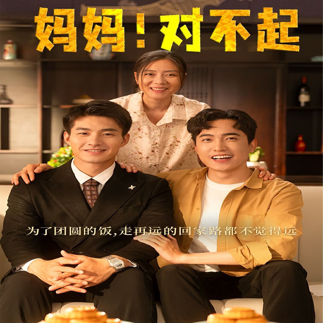 妈妈，对不起 月圆人团圆全集