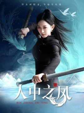 人中之凤全集