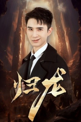 龙归全集