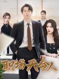 职场天命人全集
