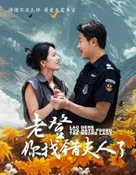 老登你找错夫人了全集