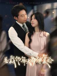 总裁他每天都想复婚全集