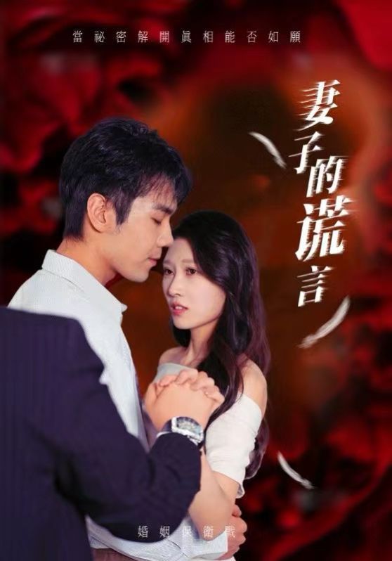 妻子的谎言全集