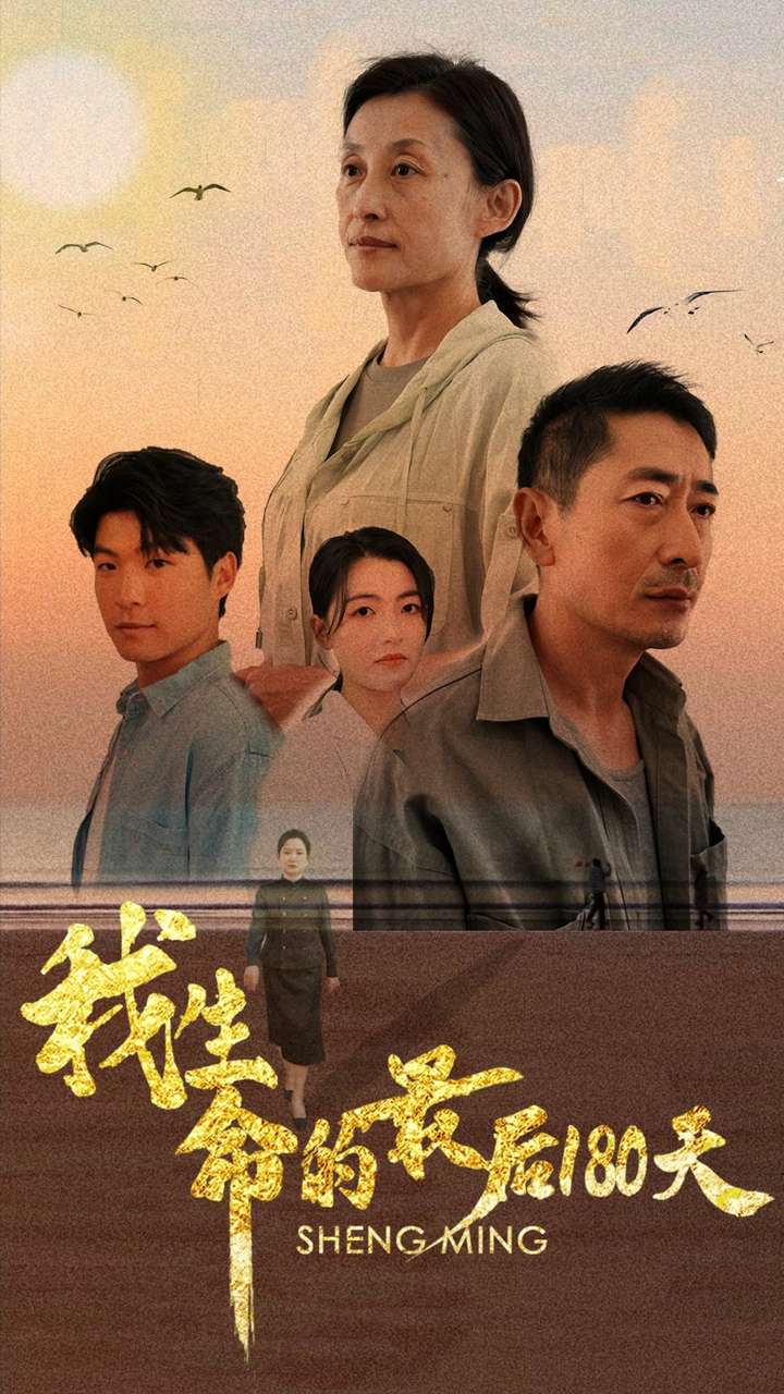 我生命的最后180天全集