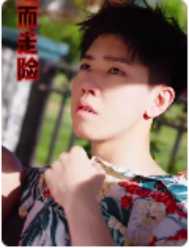 铤而走险 步步高升 幸福人生全集