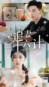 追妻三十六计全集