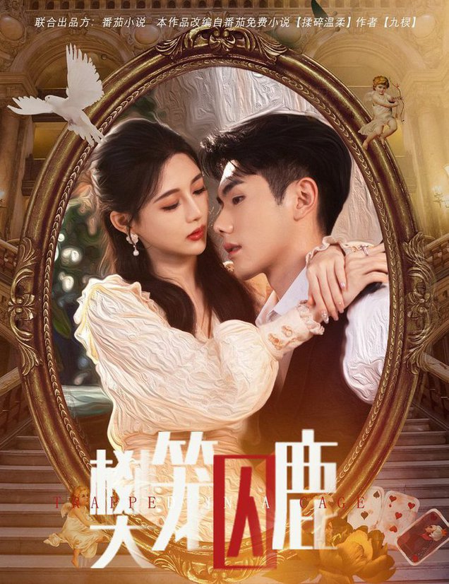 偏执大佬的金丝雀 樊笼囚鹿全集