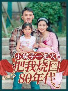 小舅子一把火把我烧回80年代全集