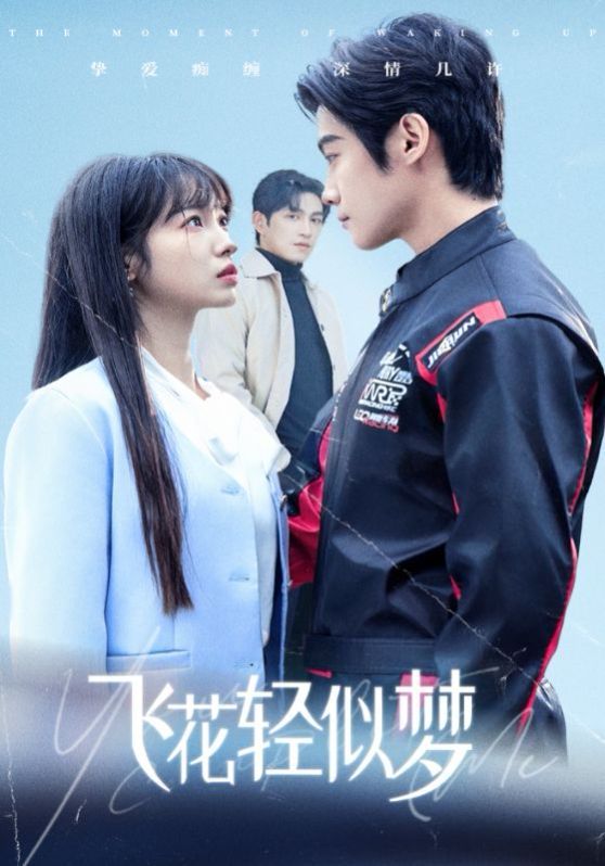 飞花轻似梦全集