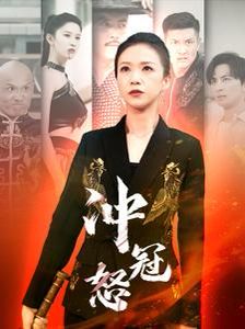 冲冠怒全集