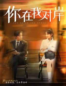 你在我对岸全集