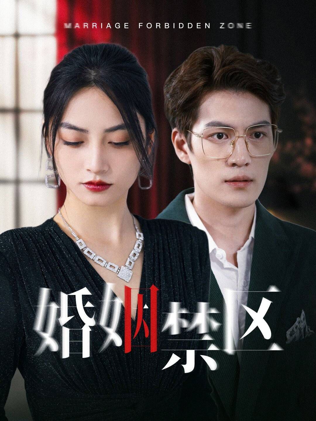 婚姻禁区全集
