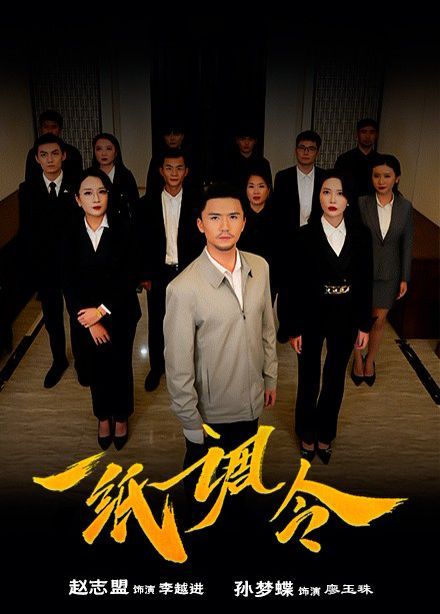 一纸调令全集