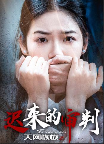 天网恢恢之迟来的审判全集