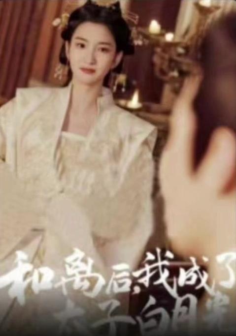和离后，我成了太子白月光全集