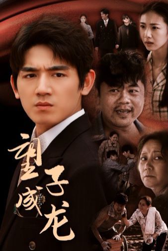 望子成龙全集